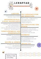 Vorschau - Unterrichtsreihen - Lernpfad Themenhalbjahr Neurobiologie (Frau Bieku) - Seite 2