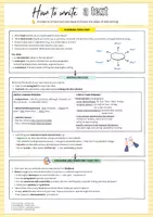 Vorschau - Poster - How to write a text: Basiswissen - Merkblatt/ Guide (ideal für alle Jahrgangsstufen!) INKLUSIVE USEFUL PHRASES/ LINKING WORDS - Seite 1