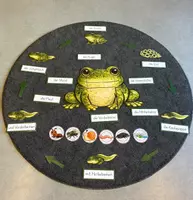 Vorschau - Arbeitsblätter - der Frosch - Materialpaket - Seite 2