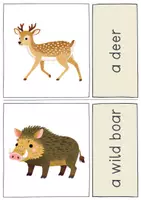 Vorschau - Unterrichtsreihen - Animal Flashcards / Tierkarten / Bildkarten (+ Deutsch / VKL) - Seite 1