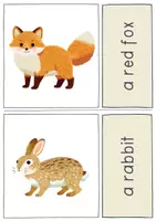 Vorschau - Unterrichtsreihen - Animal Flashcards / Tierkarten / Bildkarten (+ Deutsch / VKL) - Seite 2
