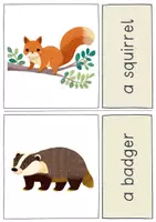 Vorschau - Unterrichtsreihen - Animal Flashcards / Tierkarten / Bildkarten (+ Deutsch / VKL) - Seite 3