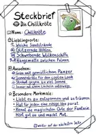 Vorschau - Unterrichtsreihen - Fantasiereisen: Mit der Chillkröte durch den Frühling - Seite 3