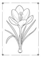 Vorschau - Mal- und Bastelvorlagen - Frühlingsblumen Ausmalbilder - Seite 2