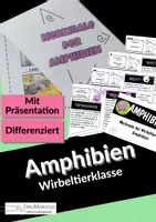 Vorschau - Arbeitsblätter - Merkmale Wirbeltierklasse Amphibien - faltbares Arbeitsblatt - Deckblatt