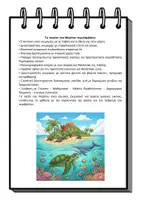 Προεπισκόπηση - Φύλλα εργασίας - Ο γύρος του Κόσμου στο Νηπιαγωγείο- Διαθεματικό Ταξίδι στη Χαβάη - Σελίδα 2