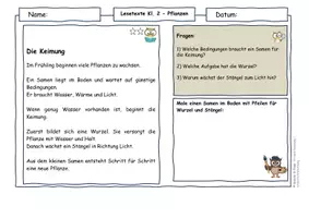 Vorschau - Arbeitsblätter - Frühling Klasse 2 – Pflanzen & Keimung Arbeitsblätter - Seite 2