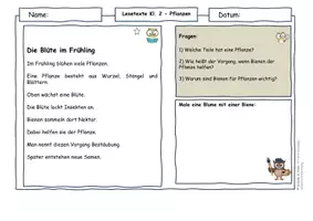 Vorschau - Arbeitsblätter - Frühling Klasse 2 – Pflanzen & Keimung Arbeitsblätter - Seite 3