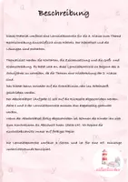 Vorschau - Test - Wortarten, Satzzeichen, Groß-und Kleinschreibung Lernzielkontrolle/ Arbeit Klasse 3 - Seite 1