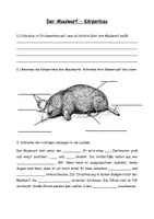 Vorschau - Arbeitsblätter - Arbeitsblatt Maulwurf Körperbau und Aussehen - Deckblatt