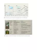 Vorschau - Arbeitsblätter - Klimawandel - Ursachen und Folgen - Seite 2