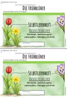 Vorschau - Stundenentwürfe - DREAM-TEAM-Bundle: Frühblüher Selbstlernheft + Onepager - Seite 1