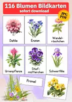 Vorschau - Bildkarten - Bildkarten heimische Blumen – 72 Karten zur Pflanzenbestimmung & Wortschatzarbeit im Sachunterricht - Deckblatt