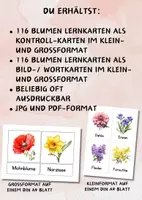 Vorschau - Bildkarten - Bildkarten heimische Blumen – 72 Karten zur Pflanzenbestimmung & Wortschatzarbeit im Sachunterricht - Seite 1