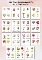 Vorschau - Bildkarten - Bildkarten heimische Blumen – 72 Karten zur Pflanzenbestimmung & Wortschatzarbeit im Sachunterricht - Seite 2