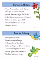 Vorschau - Arbeitsblätter - Abschreibkartei Frühling - Texte zum Lesen und Abschreiben - Seite 2