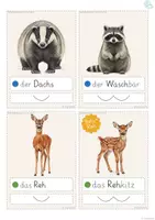 Vorschau - Fördermaterial/Inklusion - Wort-Bild-Karten DaZ Wortschatz Tiere im Wald - Seite 2