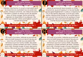 Aperçu - Fiches - CAT - inférences d'automne - Page 2