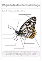 Vorschau - Arbeitsblätter - Der Schmetterling - Sachunterricht GS 1 - Seite 2