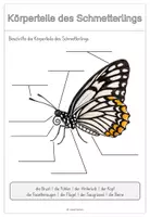 Vorschau - Arbeitsblätter - Der Schmetterling - Sachunterricht GS 1 - Seite 3