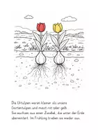 Vorschau - Mal- und Bastelvorlagen - Die Geschichte der Tulpe - Deckblatt