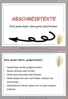 Vorschau - Fördermaterial/Inklusion - Abschreibtexte - Silvestertraditionen weltweit: Lesekarten Großschreibung - Seite 2