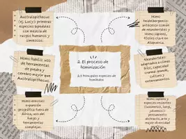 Vista previa - Otros - Esquema resumen Tema 22 - página 3