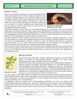 Vorschau - Arbeitsblätter - Neurobiologie - Komplexe Übung - Tödliche Krämpfe - Seite 1