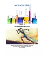 anteprima - Esercizi - Dispensa di Chimica – Lezione 14: Metabolismo energetico (con immagini, esercizi e soluzioni) - Pagina di copertina