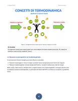 anteprima - Esercizi - Dispensa di Chimica – Lezione 14: Metabolismo energetico (con immagini, esercizi e soluzioni) - Pagina 3