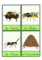 Vorschau - Fördermaterial/Inklusion - Tiere der Wiese - Tafelmaterial & Bildkarten - Seite 1