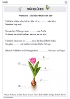 Vorschau - Arbeitsblätter - Frühblüher_Arbeitsblätter - Seite 3