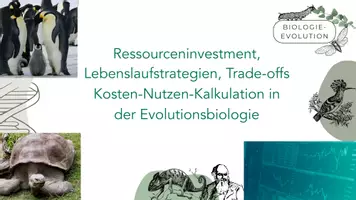 Vorschau - Arbeitsblätter - Ressourceninvestment, Lebenslaufstrategien, Trade-offs & Kosten-Nutzen-Kalkulation - Deckblatt