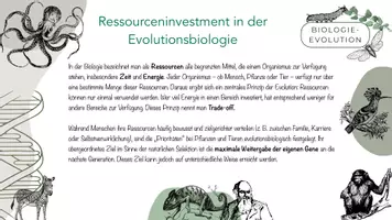 Vorschau - Arbeitsblätter - Ressourceninvestment, Lebenslaufstrategien, Trade-offs & Kosten-Nutzen-Kalkulation - Seite 3