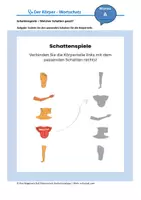 Vorschau - Arbeitsblätter - Körperteile zuordnen - Schattenspiele (A1) - kostenlos - Deckblatt