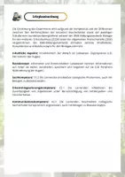 Vorschau - Arbeitsblätter - Experiment Periphere Wahrnehmung im Auge - Seite 3