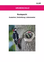 Vorschau - Arbeitsblätter - Buntspecht - Arbeitsblätter mit Lösungen PDF - Deckblatt