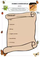 Vorschau - Arbeitsblätter - Insekten - Steckbriefe erstellen - Biene - Ameise - Marienkäfer - Schmetterling mit Lösung (Klasse 5 6 7) - Seite 1