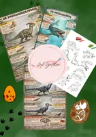 Voorbeeld - infokaarten (1) (2) - Voorblad