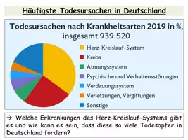 Vorschau - Stundenentwürfe - Erkrankungen des Herz-Keislauf-Systems - Arbeitsteilige Gruppenarbeit - Seite 1