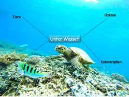Vorschau - Unterrichtsreihen - Unter Wasser - Seite 2