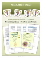 Vorschau - Stundenentwürfe - Proteinbiosynthese - Vom Gen zum Protein (Stationenarbeit Oberstufe Genetik) - Deckblatt