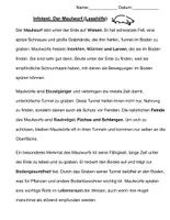 Vorschau - Arbeitsblätter - Wiesentiere, Lebensraum Wiese - Seite 2