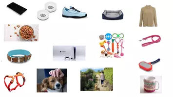 Vorschau - Arbeitsblätter - Wachsendes Materialpaket zum Thema Hund - Seite 2