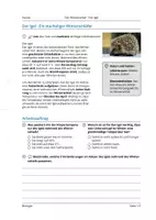 Vorschau - Arbeitsblätter - Tiere im Winter - Winterschlaf, Winterstarre und Winterruhe im Vergleich - Seite 3