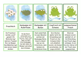 Vorschau - Arbeitsblätter - Legekarten, Zuordnungsspiel Fortpflanzung Frosch, Arbeitsblätter - Seite 1