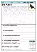 Vorschau - Arbeitsblätter - Lesen & Verstehen - Tiere im Frühling (Klasse 3-5) - Seite 2