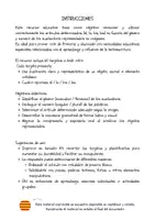 Vista previa - Refuerzo / NEE / Materiales de apoyo - 60 TARJETAS DE ARTÍCULOS DETERMINADOS - página 2