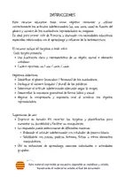 Vista previa - Refuerzo / NEE / Materiales de apoyo - 60 TARJETAS ARTÍCULOS INDETERMINADOS - página 2