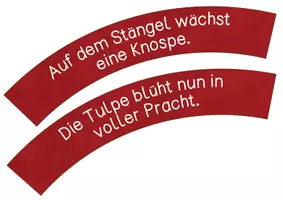 Vorschau - Unterrichtsreihen - Frühblüher -Lebenszyklus der Tulpe - Legekreis - Seite 3